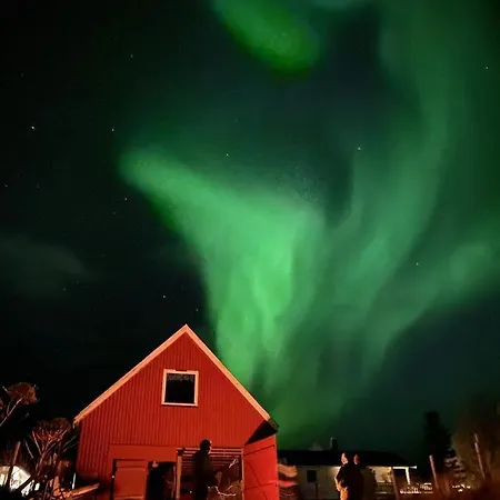 Nydelig Utsikt, Egen Med To Parkeringer شقة Movik (Troms)