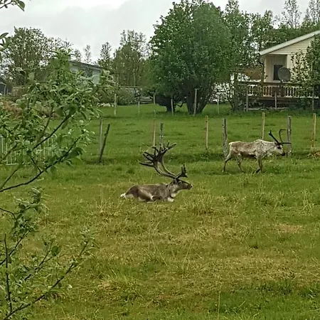 Nydelig Utsikt, Egen Med To Parkeringer Lejlighed *