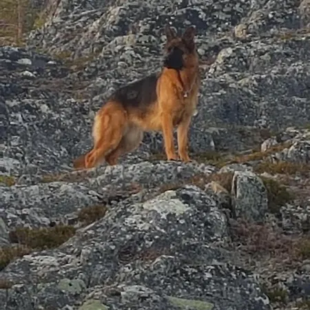 Nydelig Utsikt, Egen Med To Parkeringer *