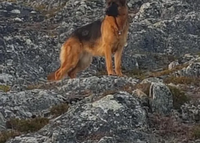 Nydelig Utsikt, Egen Med To Parkeringer *